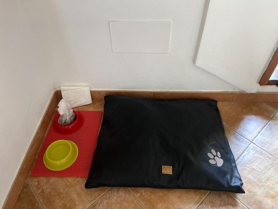 Apartmán Casa Gina Porto Torres Exteriér fotografie
